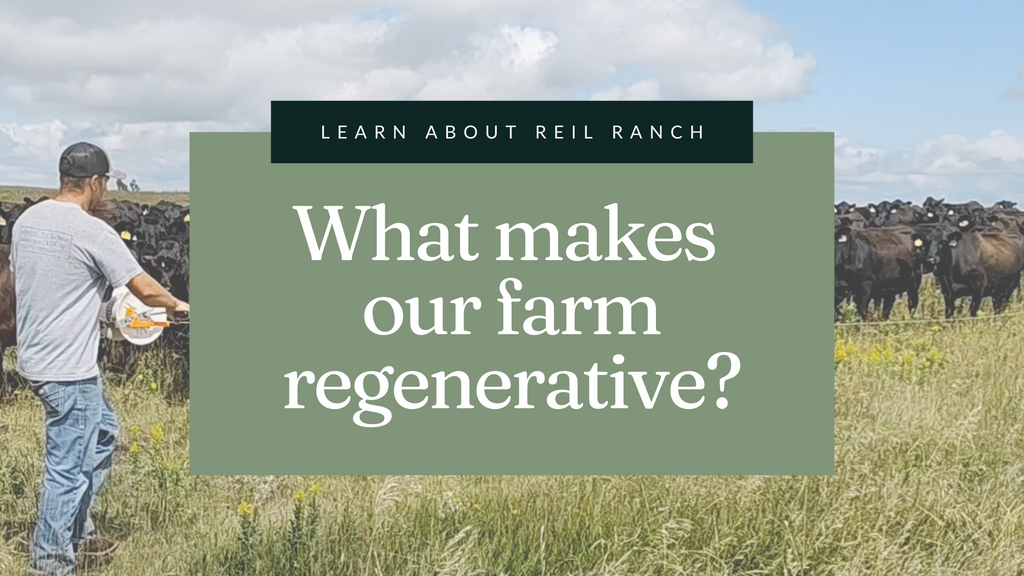 What makes our farm regenerative?