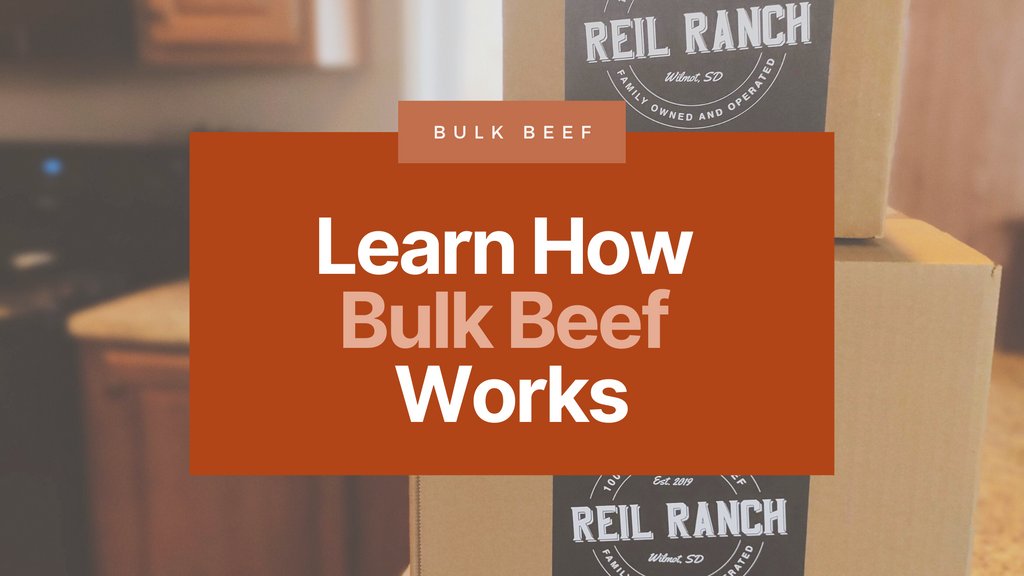 Learn How Bulk Beef Works
