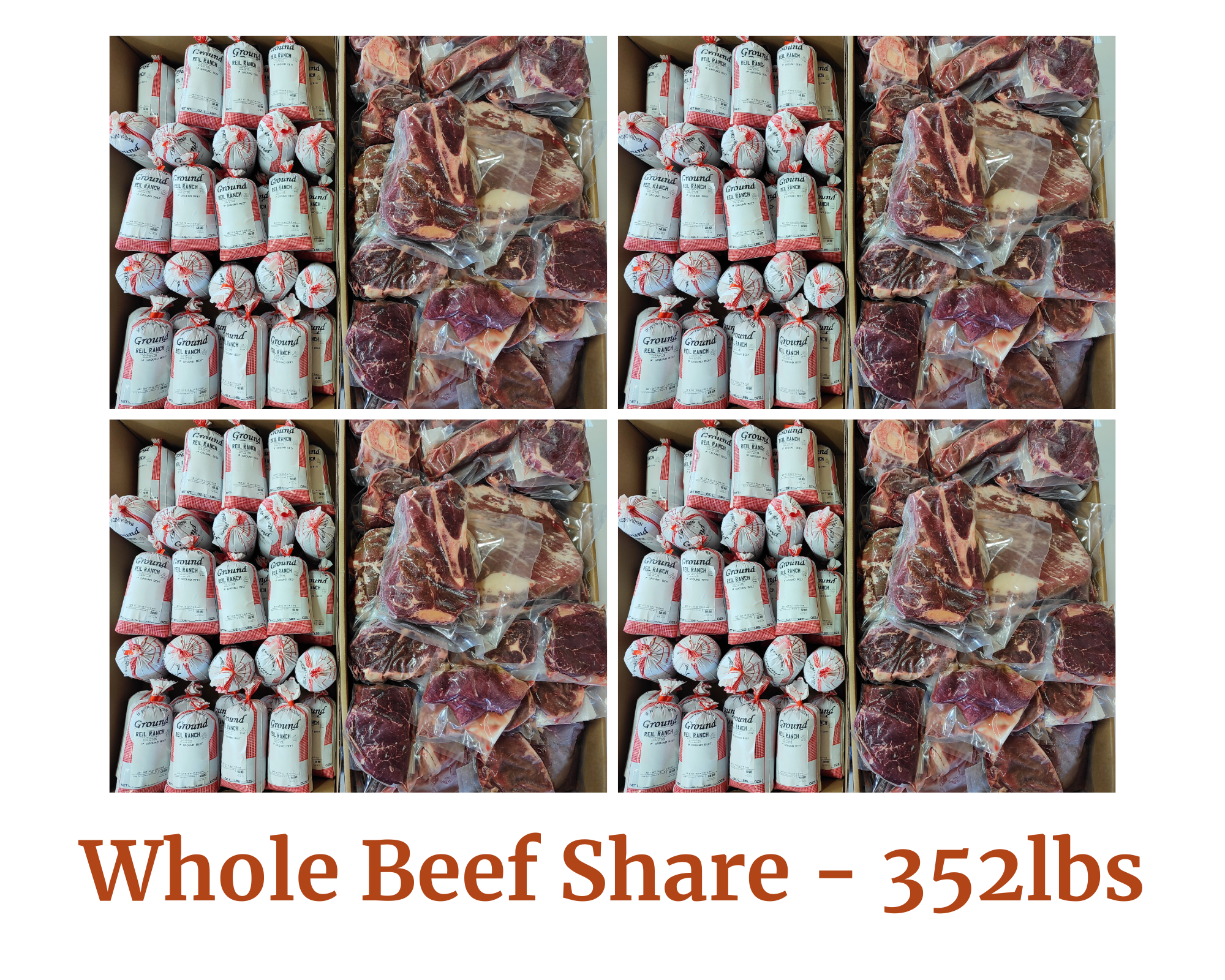 Spring 2024 Whole Beef Share (352+ Pounds) Deposit